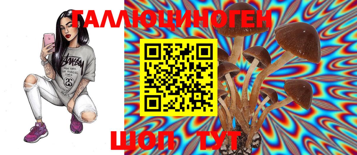 Псилоцибиновые грибы GOLDEN TEACHER Ростов-на-Дону